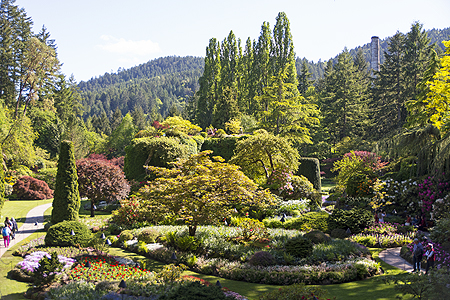 Butchart sunken garden